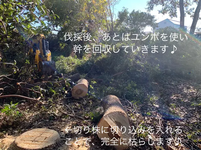 2年連続入賞・造園、伐採業《リョクケイ》・高木大径木も対応可・複数割サービスの画像