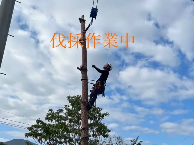 2年連続入賞・造園、伐採業《リョクケイ》・高木大径木も対応可・複数割サービスの画像