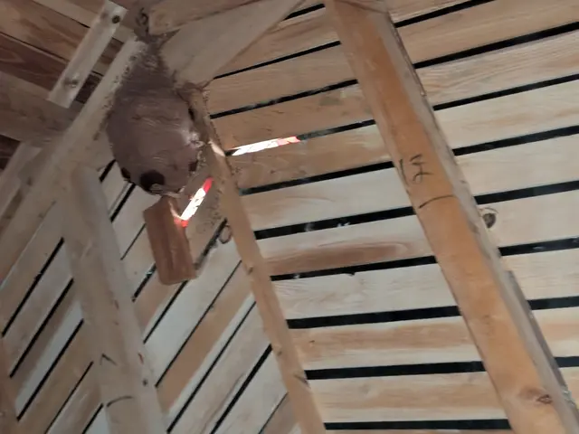 出張費無料　電話での事前見積り可能　即日対応可サービスの画像