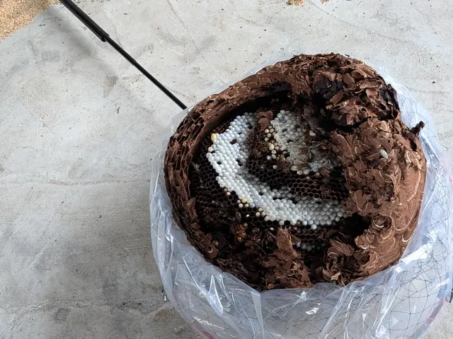 出張費無料　電話での事前見積り可能　即日対応可サービスの画像