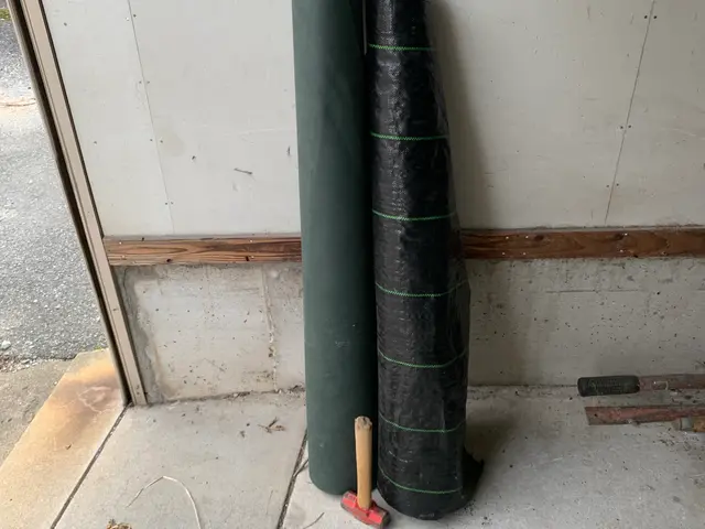 2月新出店◎30年以上の実績　一級造園施工管理技士｜造園全般◎庭づくり◎【京都郡サービスの画像