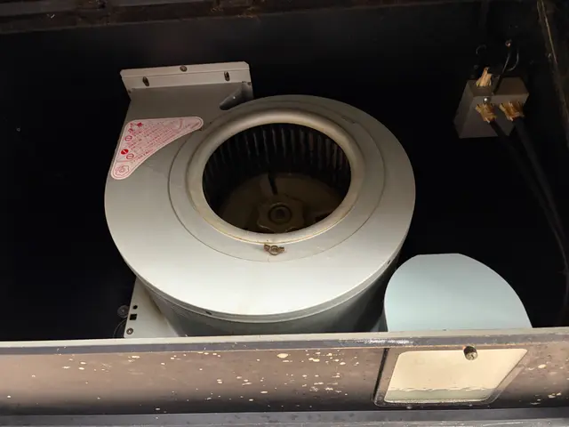 キッチン周りのお掃除はこの季節がオススメ！油汚れをスッキリさせませんか(^_^)サービスの画像