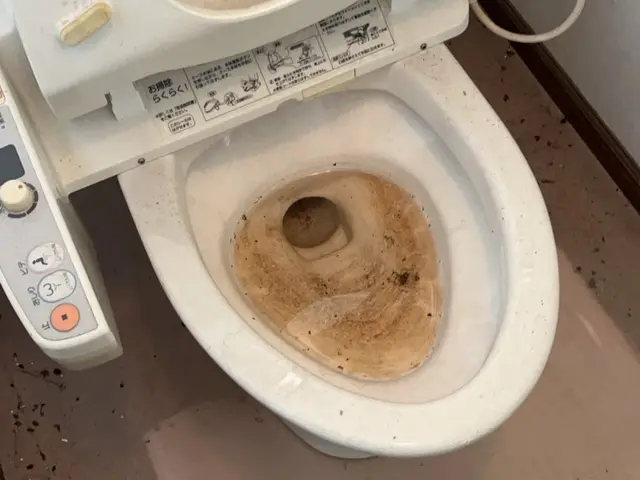 超お得☆【地域最安値挑戦中！】☆口コミにて過去のお声ご覧になれます！サービスの画像