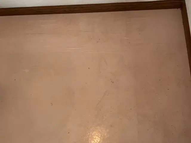 超お得☆【地域最安値挑戦中！】☆口コミにて過去のお声ご覧になれます！サービスの画像