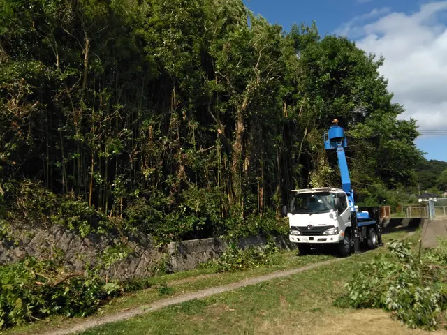 資格保有スタッフがお客様の立場になり親切に対応します♪サービスの画像