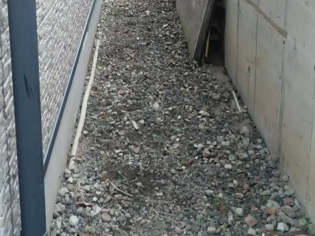 草むしり★★サービスの画像