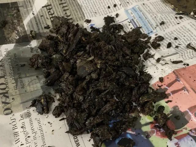 ＜年中無休＞作業外注一切なし◎対応地域外・営業時間外でもご相談歓迎！サービスの画像