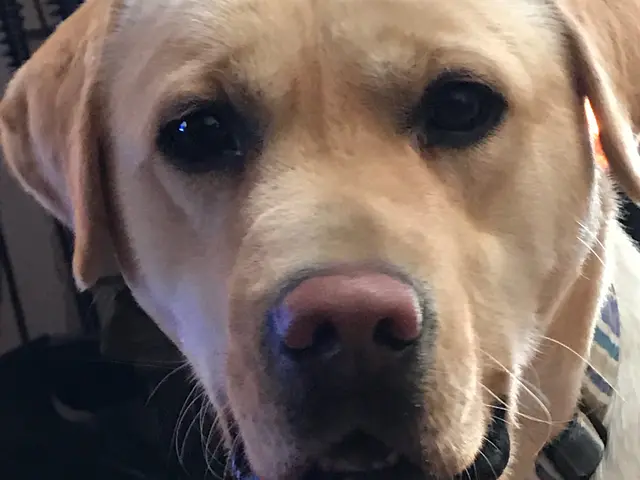 プロの技術でご満足いただけるように心を込めて撮影いたします