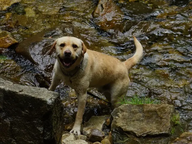 プロの技術でご満足いただけるように心を込めて撮影いたします