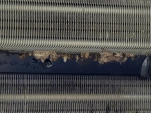 【年中無休】業歴10年の経験と実績！女性スタッフ同行可能！損害保険加入店サービスの画像