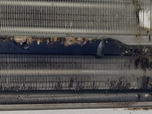 【年中無休】業歴10年の経験と実績！女性スタッフ同行可能！損害保険加入店サービスの画像