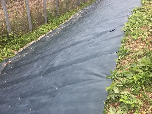 お客様のお力になります！経験と知識を活かして迅速丁寧に作業いたしますサービスの画像