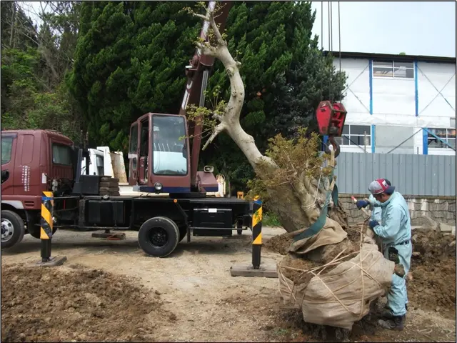 業歴30年以上！伐採抜根はお任せ下さい！林業経験も豊富です！サービスの画像