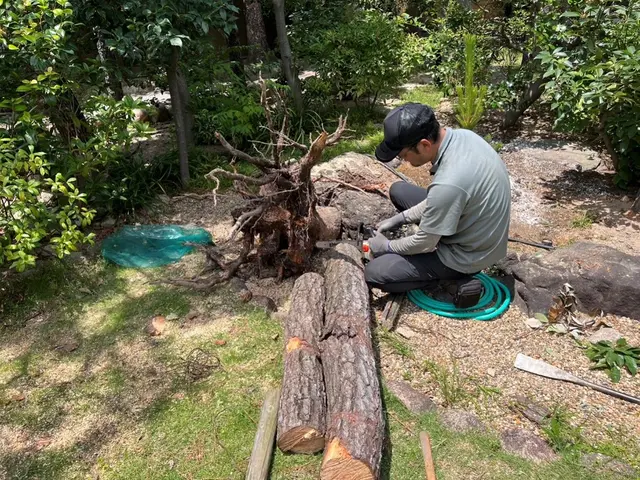 業歴30年以上！伐採抜根はお任せ下さい！林業経験も豊富です！サービスの画像