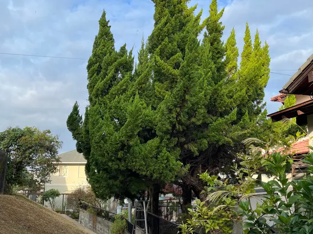 【業歴15年の経験と実績】作業外注なし全て自社施工！アフターフォローも万全サービスの画像