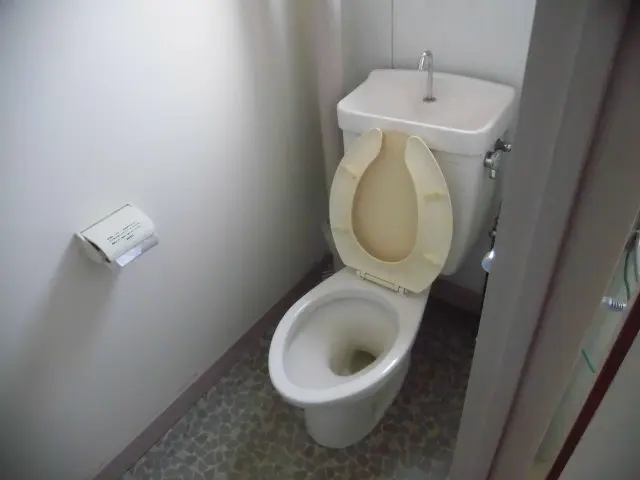 １１月〜空きあり 　気になる汚れありませんか？一度お任せ下さい！サービスの画像