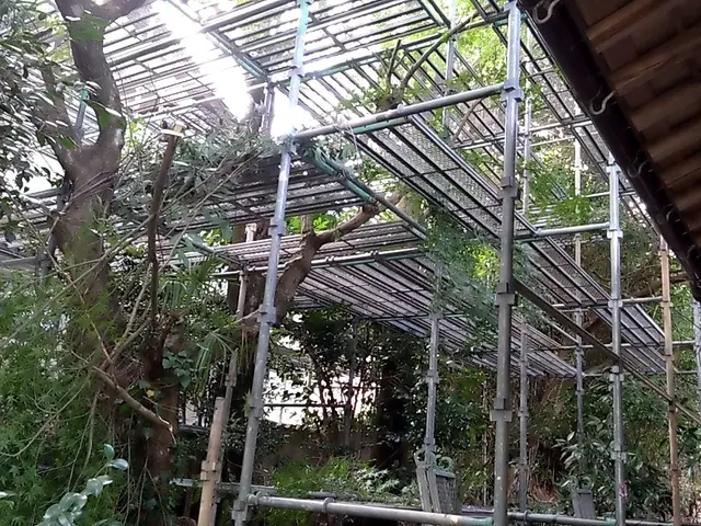 庭木の伐採サービスの画像