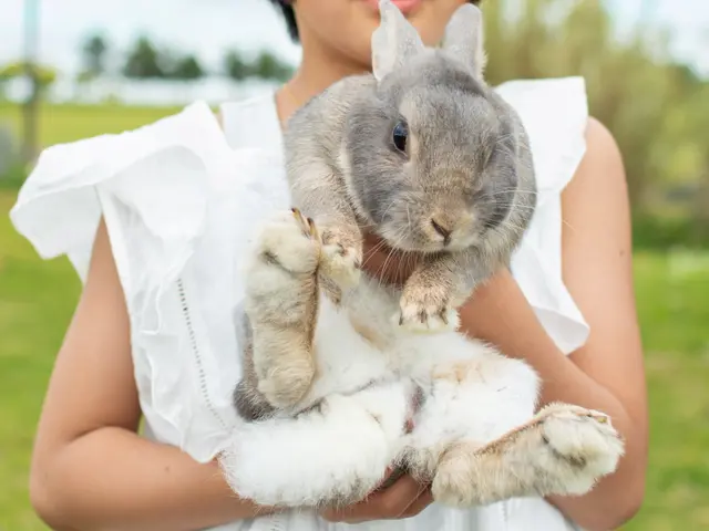 大切な今を、この瞬間を残し、思い出を彩る出張撮影サービスサービスの画像