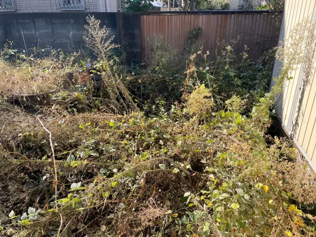 草刈り・剪定・伐採などお庭を綺麗にしてみませんか？空き家管理もお任せ下さい！サービスの画像