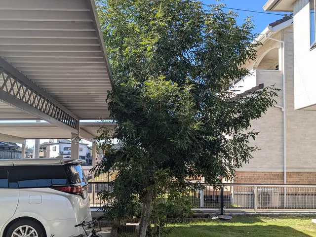 豊富な経験と知識で安心！仕上がり重視で丁寧に作業いたします！サービスの画像