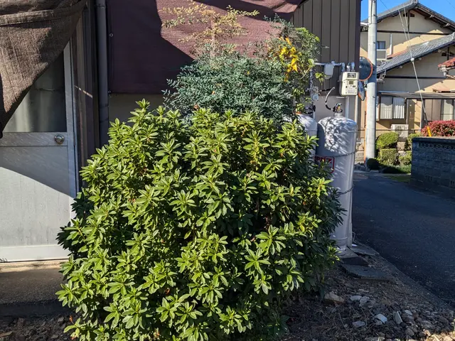 豊富な経験と知識で安心！仕上がり重視で丁寧に作業いたします！サービスの画像