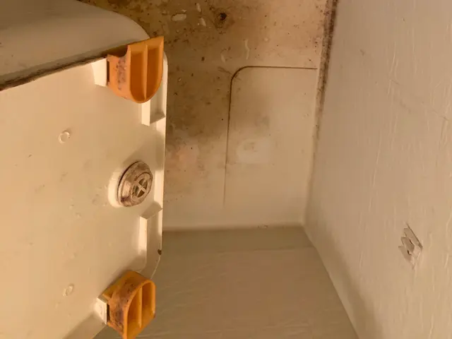 【水回り4点セット5点セット】快適な空間に！ハウスクリーニングはお任せください！サービスの画像