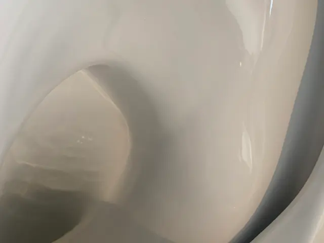 【水回り4点セット5点セット】快適な空間に！ハウスクリーニングはお任せください！サービスの画像