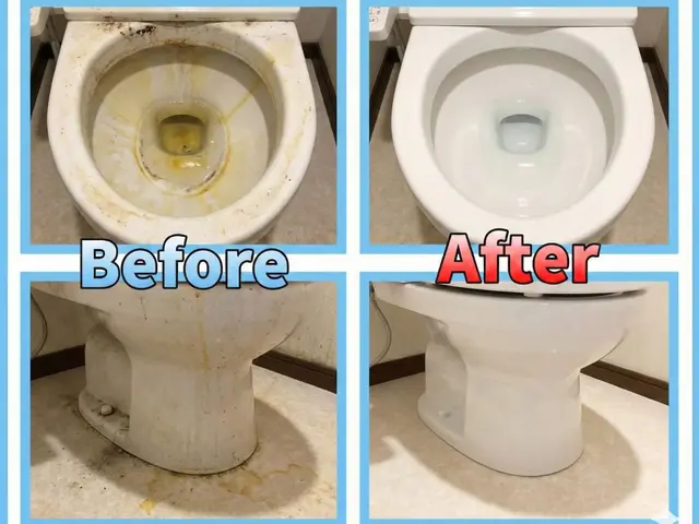 毎日使う水回りをまとめて安心、丁寧仕上げの4点クリーニングサービスの画像