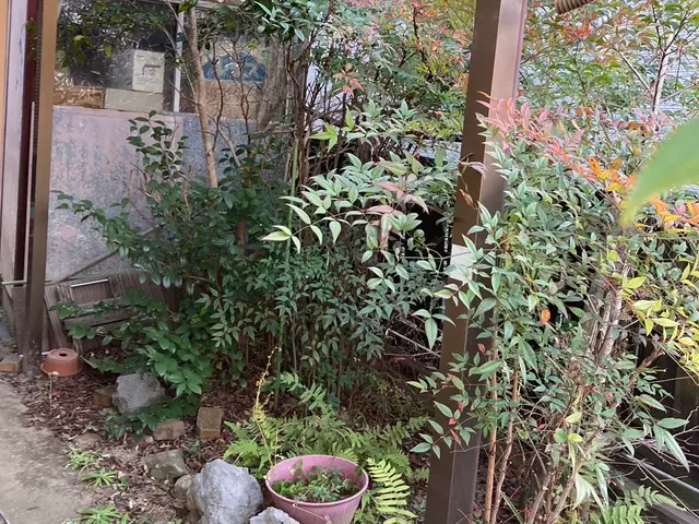 【12月空きあり！】今年もあと少し、お困りごとはお任せください！サービスの画像