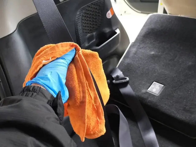 くらしのマーケットマガジン掲載中！車内のシミ・臭いなどお困り事ご相談下さい！サービスの画像