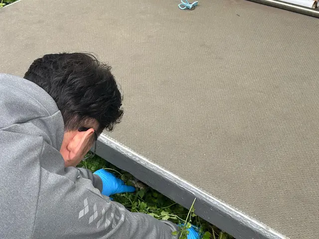 【業界歴10年、月30件の実績】子供4人のお父さんがお家を綺麗にします！サービスの画像