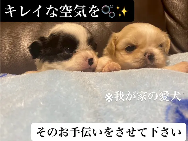 【❀好評のため11月も続行抗菌コート無料❀】◆お掃除機能付きエアコン追加料金0円サービスの画像