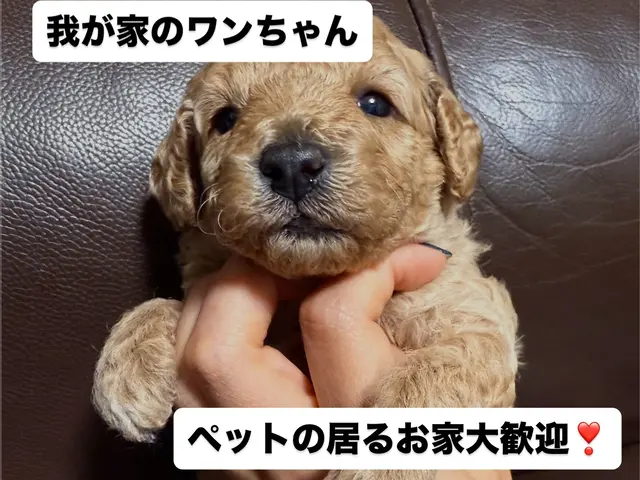 【❀好評のため11月も続行抗菌コート無料❀】◆お掃除機能付きエアコン追加料金0円サービスの画像