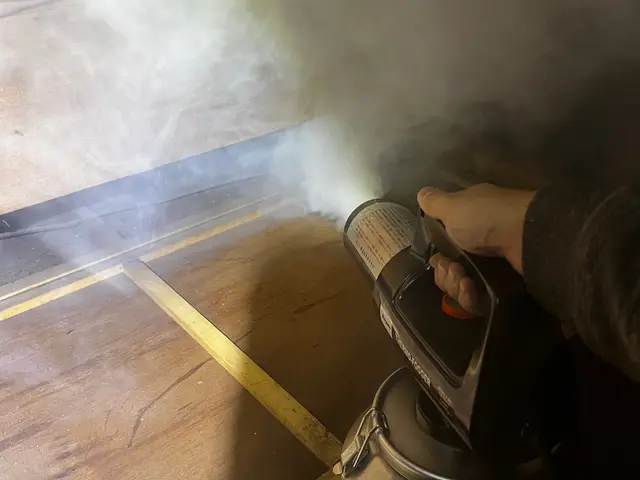 ノミ駆除＋ハウスクリーニング《男女各1名派遣》サービスの画像