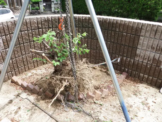 【業歴30年の造園施工管理技士が伺います！】年中無休なのでいつでもご予約可能！サービスの画像