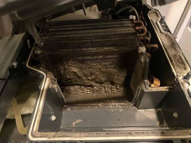 洗濯機キレイして清潔に使いませんか？1年ごとのクリーニング必須です！サービスの画像