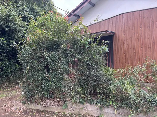 【庭を心から愛する職人がお伺い！】美しく健康な庭づくり◉駐車場代は当店が負担◉サービスの画像