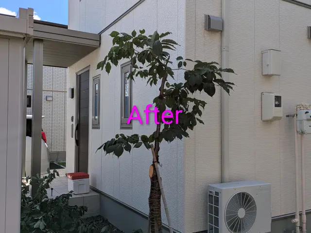 豊富な経験と知識で安心！仕上がり重視で丁寧に作業いたします！サービスの画像