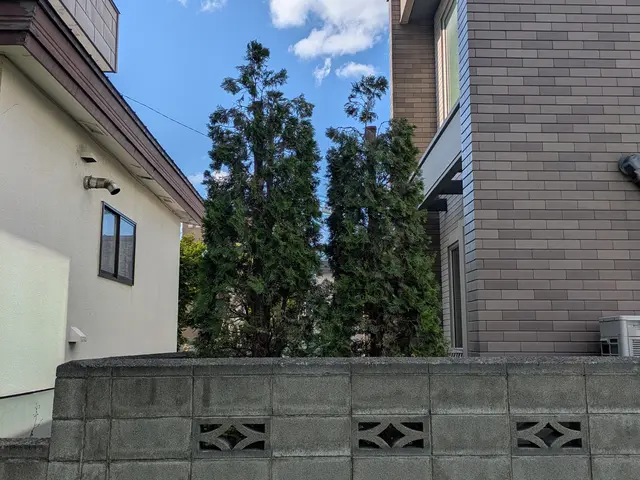 豊富な経験と知識で安心！仕上がり重視で丁寧に作業いたします！サービスの画像