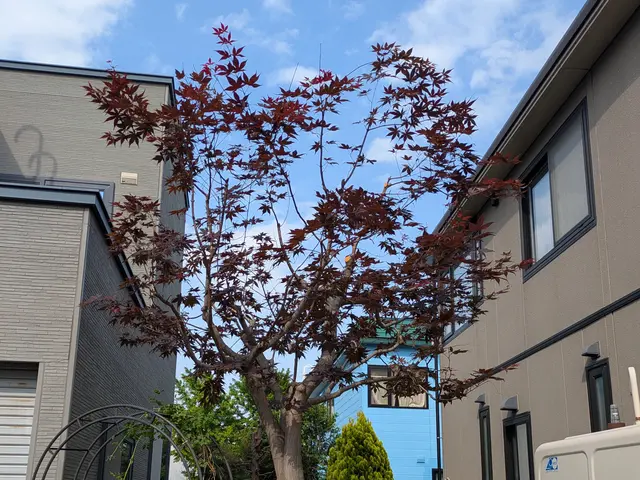 豊富な経験と知識で安心！仕上がり重視で丁寧に作業いたします！サービスの画像