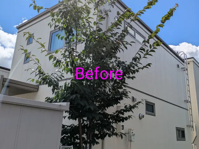 豊富な経験と知識で安心！仕上がり重視で丁寧に作業いたします！サービスの画像