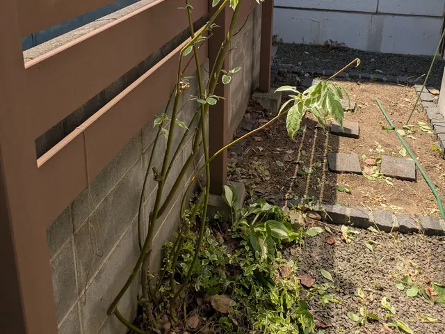 豊富な経験と知識で安心！仕上がり重視で丁寧に作業いたします！サービスの画像