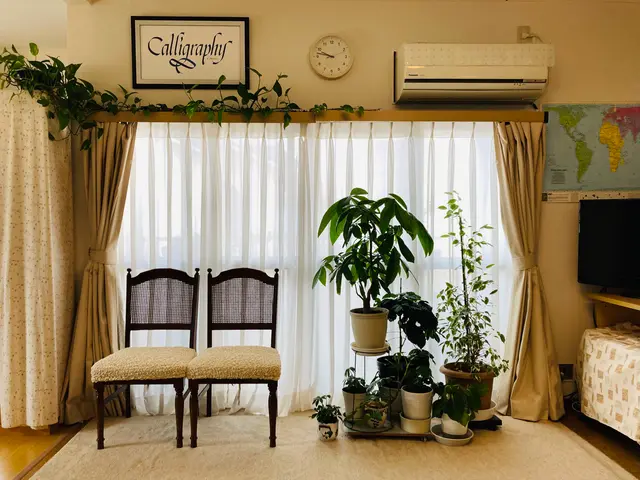 掃除片付けの家庭教師サニー春（清水晴絵）書類レシートOK。お困りをまるっとどうぞサービスの画像