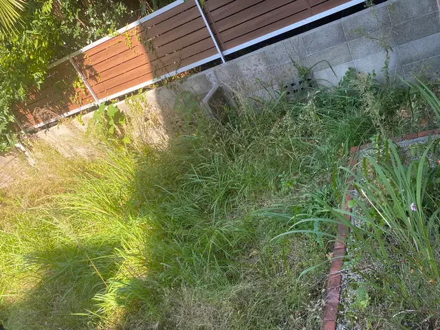 どこよりも安く綺麗に丁寧に！サービスの画像