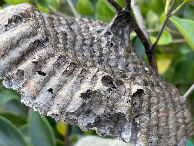 【年中無休で対応しております◎】業界30年の経験あり！店長の私が対応いたします！サービスの画像