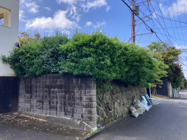 植え込み、生垣を綺麗に仕立てます。サービスの画像