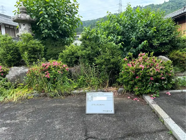 庭木でお困りの方お任せください！長浜から請け負わせて頂きます！サービスの画像