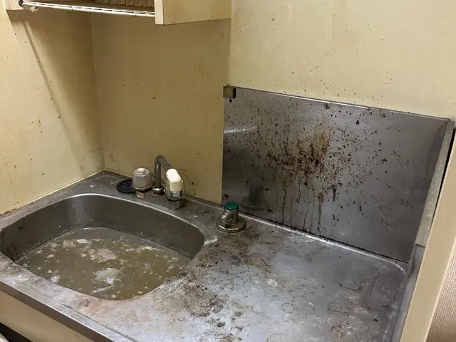 【経験27年の実績】ピカピカ水回り便　赤ちゃんペットにも優しいサービスの画像