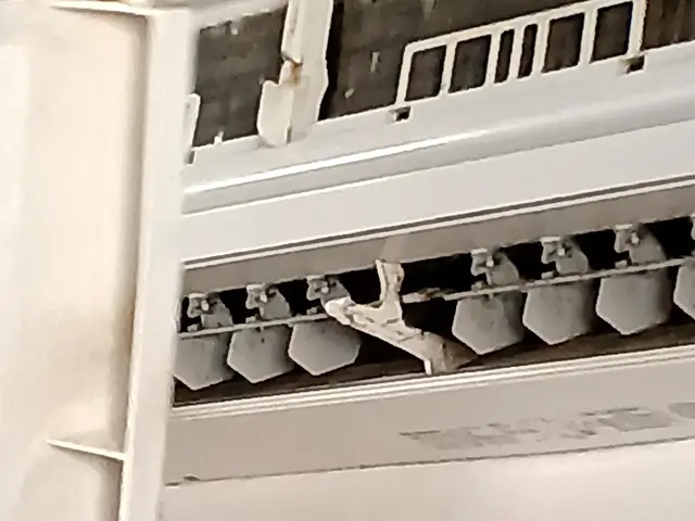 夏終わり！エアコン終わりに！★男女2名で作業★黒カビや埃、奥から落とします。サービスの画像