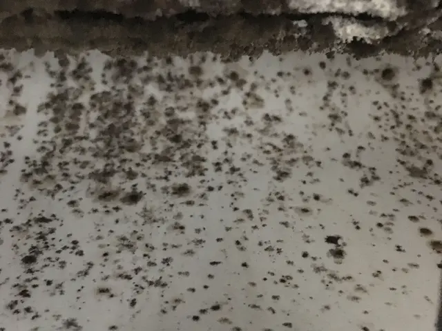 暑くなってきましたねエアコンお掃除ならお任せ下さい！お掃除機能付も可！サービスの画像